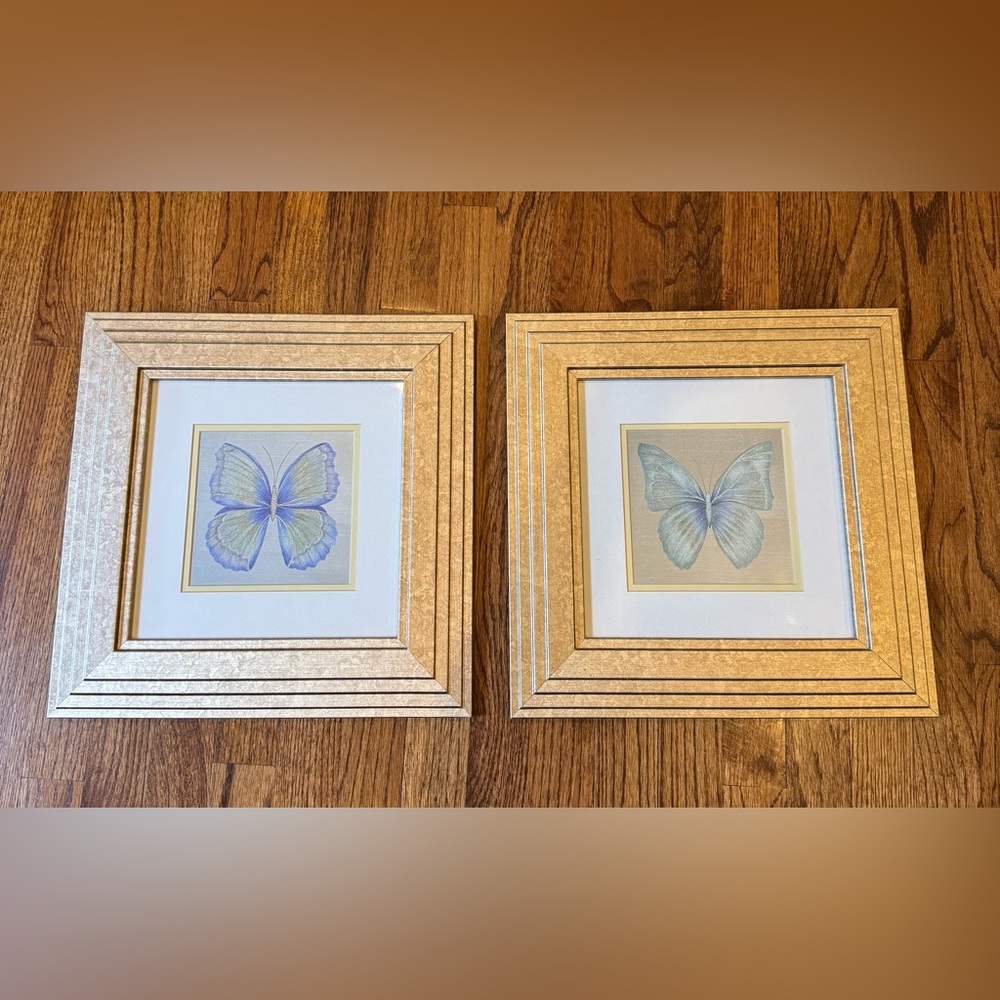 Butterfly Framed Art Set of 2